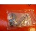 BRASS O Precision Rio Grande L-132 2-8-8-2 F/P green